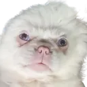 Screenshot_1267222removebgprevie