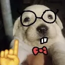 StupidFuckingNerdDog
