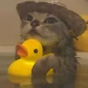 catDuck