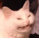 hehe