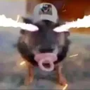 evilBINKY
