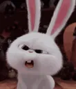kaanfooz