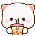bubble_tea_cat