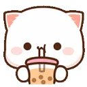 bubble_tea_cat bubble_tea_cat