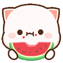 watermelon_cat