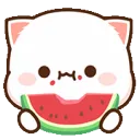 watermelon_cat