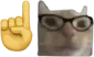 cat_nerd
