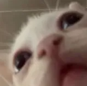 ccgg_uh Discord emoji