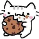 cooki
