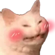 spidgeBlush