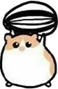 hamsterhold