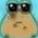 CB_pou