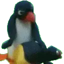 pingu_spank pingu_spank