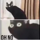 Ohno
