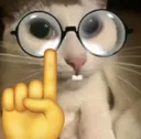 nerd_cat