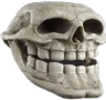 skull_sigma