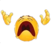 NOOOOOO