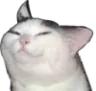 sus_cat