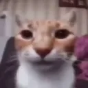 okbro