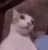 scared_cat1