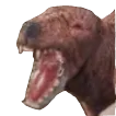 dogpog