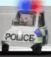 iSOS_police iSOS_police
