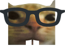 nerdcat