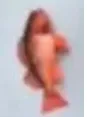 fishfartmeans