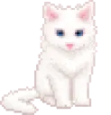 kitty