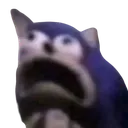 6363sonicagony