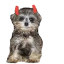 emoji_2