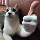 OK