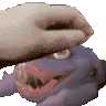 DukePet DukePet