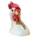 Chimken