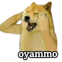 oyammo oyammo