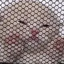 clownprison clownprison