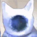 ID_judgement