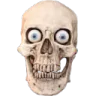 skull