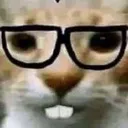 nerd