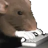 Ratting