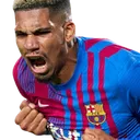 Araujo_Vamoss