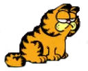 ico_garf_funnycat