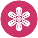 sakucoins