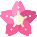 sakura_petal