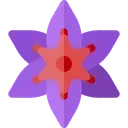 nk