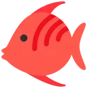 nk