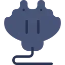 mantaray