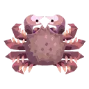 holly_crab