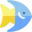 nk