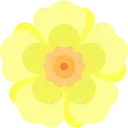 yellow_flower